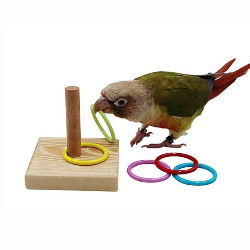 Bird Training Ring Toy Parrot  - Gymnastic Ring Wood incelemesi ve fiyatı