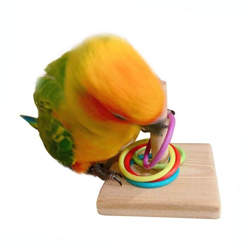 Bird Training Ring Toy Parrot  - Gymnastic Ring Wood incelemesi ve fiyatı