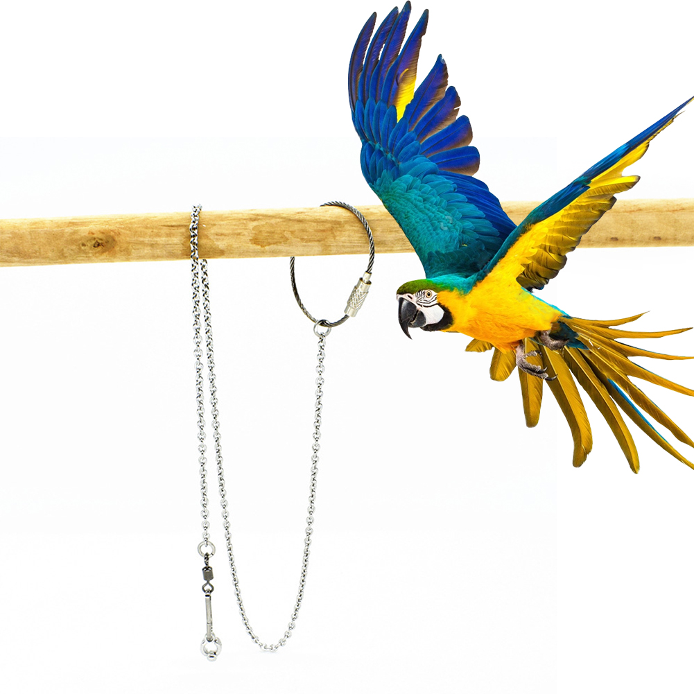 1Pcs Pet Parrot Leg Ring Ankle - Gymnastic Ring Wood incelemesi ve fiyatı
