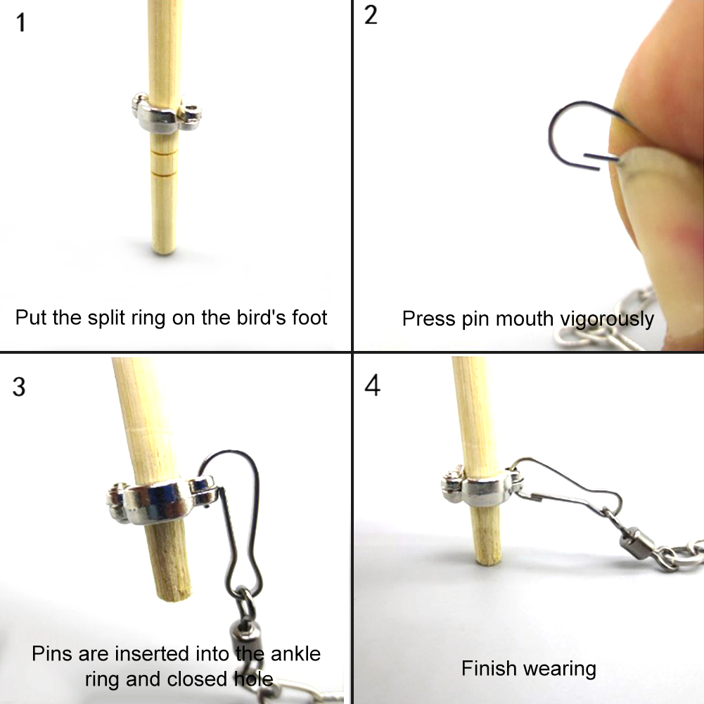 1Pcs Pet Parrot Leg Ring Ankle - Gymnastic Ring Wood incelemesi ve fiyatı